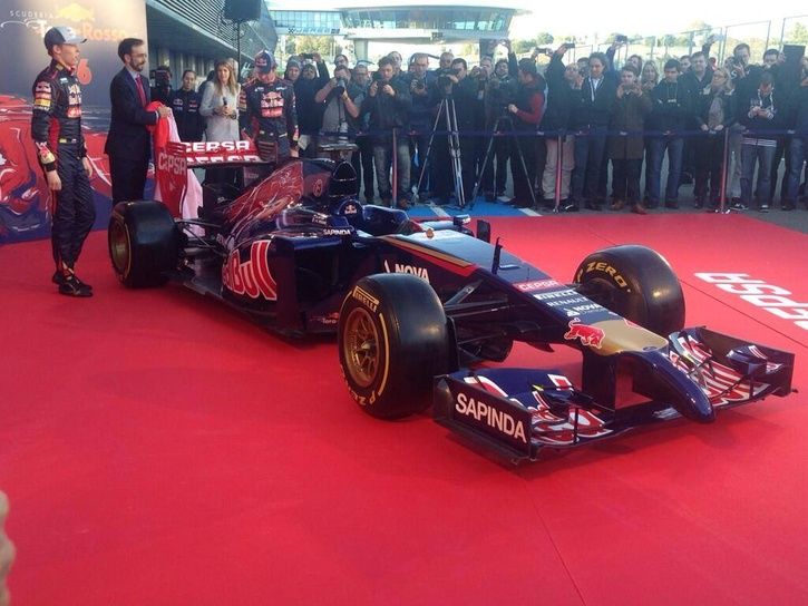 toro-rosso.jpg