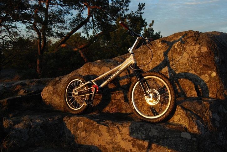 toxljus.JPG ht=485