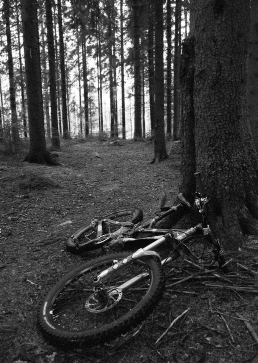 track4.jpg ht=725