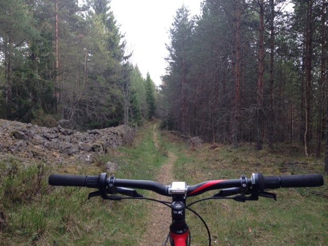 trail.JPG