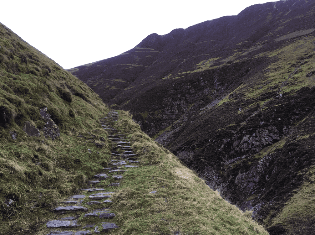 trail.png