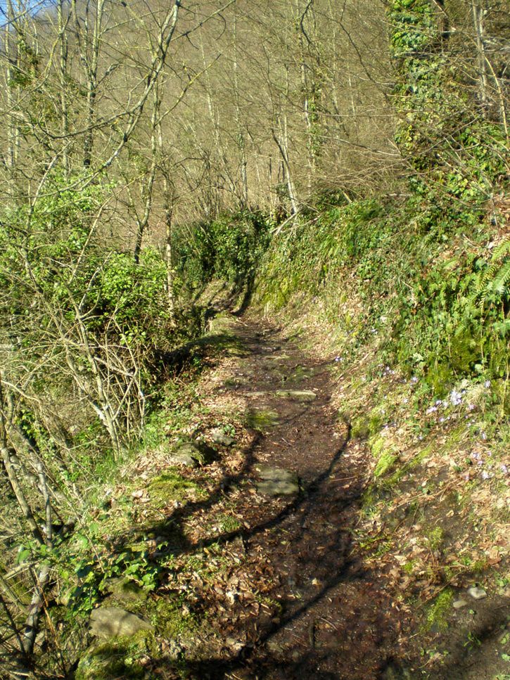 trail_2.jpg