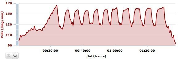 Trainer20110111.JPG ht=195