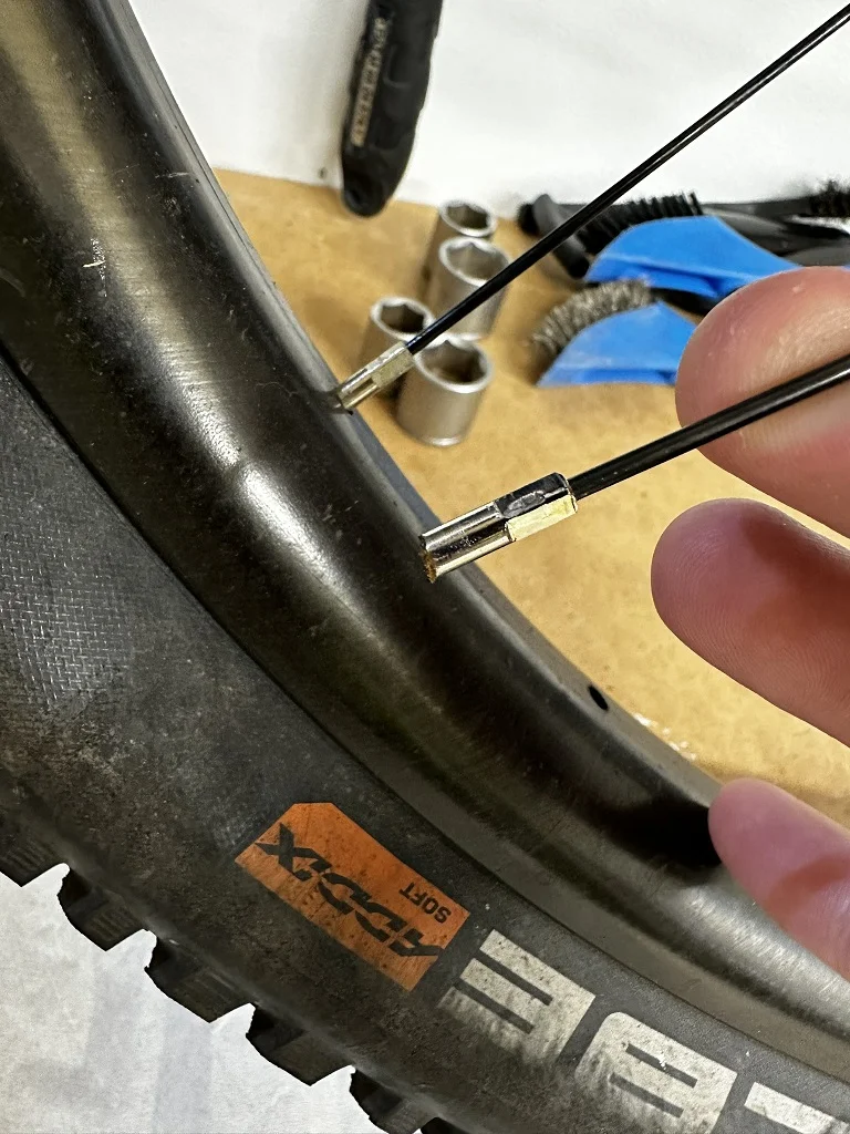 trasiga ekern liten.webp