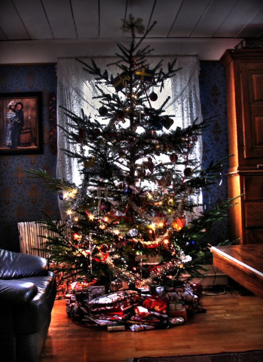 tree.jpg ht=725