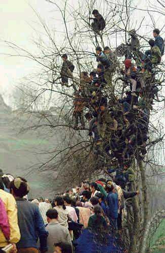 tree-people-are-interested.jpg