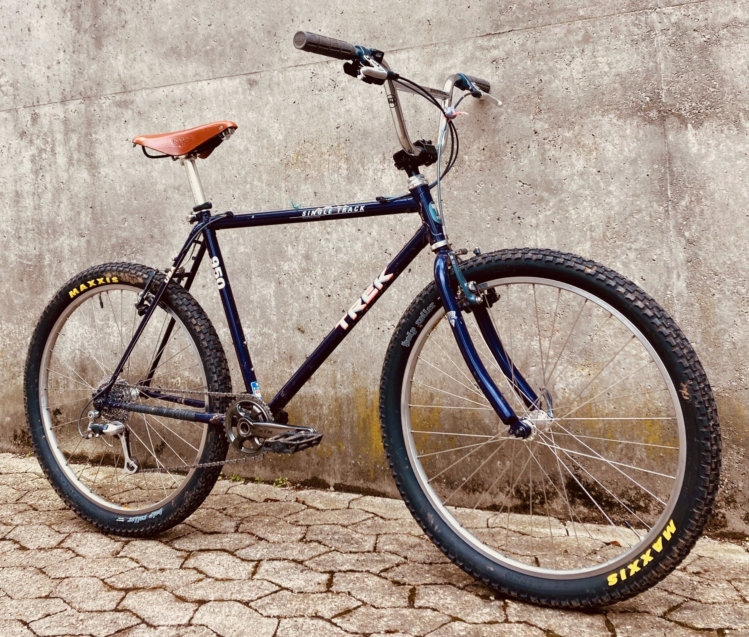 Trek950-BMX - 1 (5).jpeg