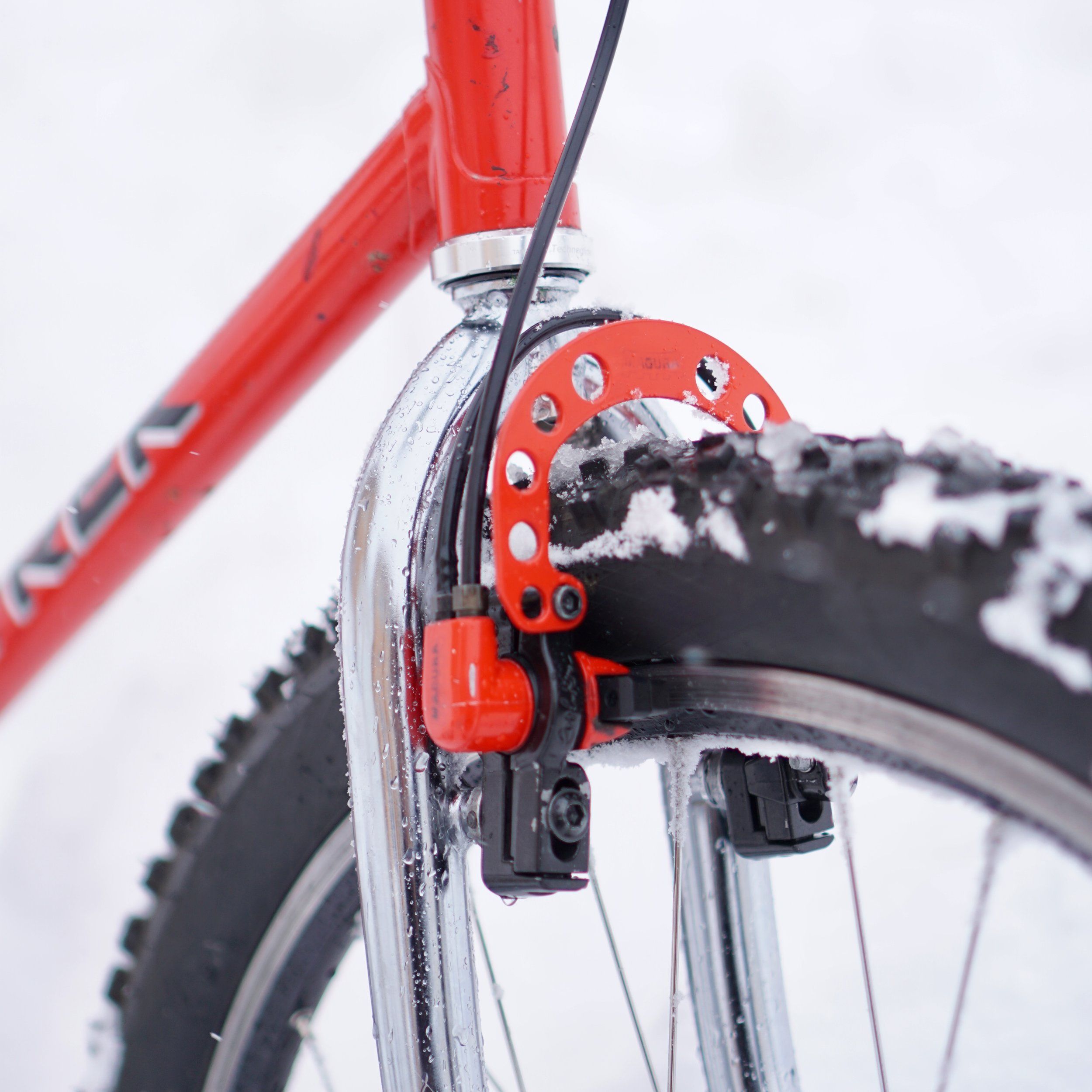 Trek990-JohnTomac-Front.jpeg