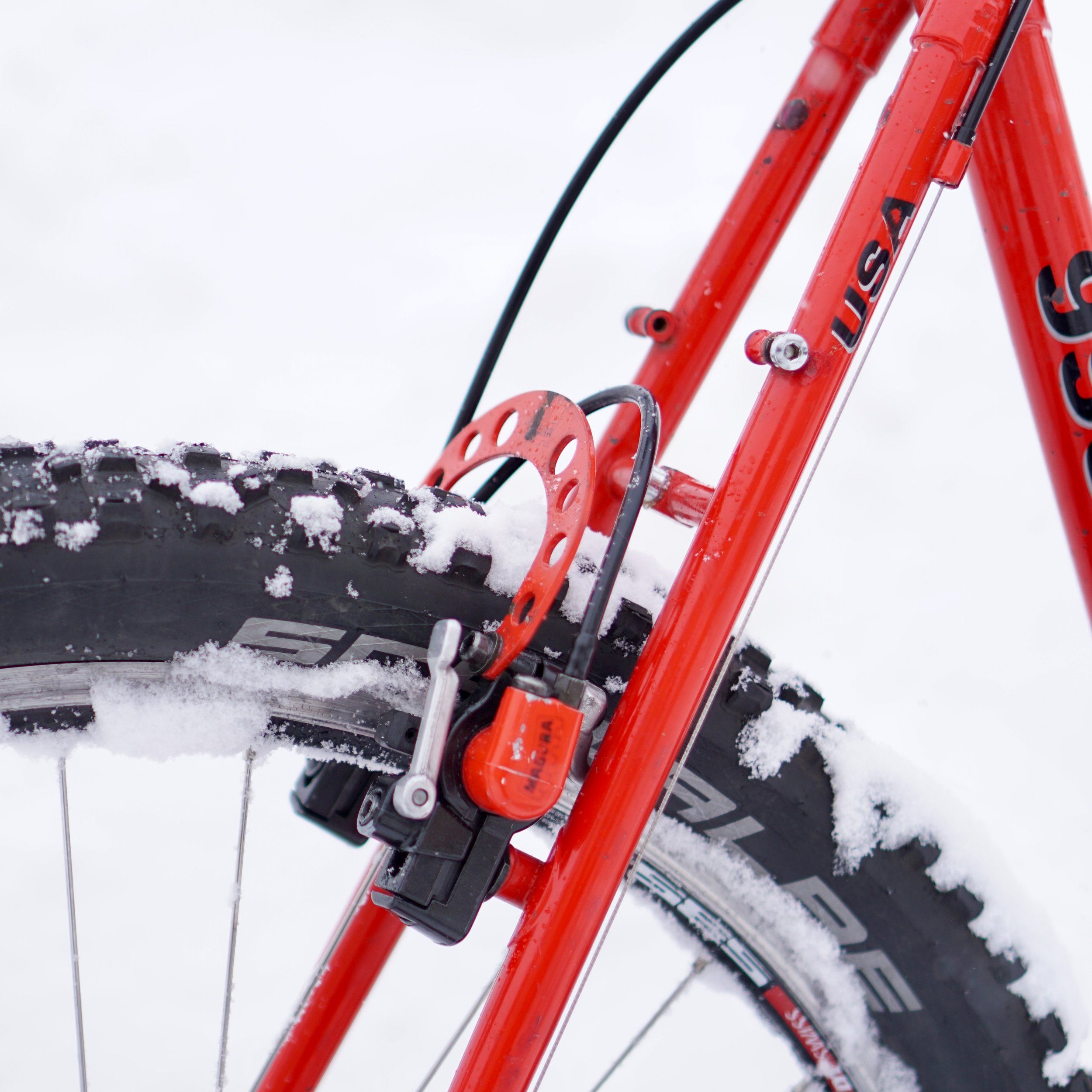 Trek990-JohnTomac-Rear.jpeg