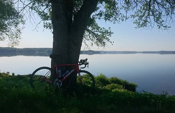 Trek_Domane.jpg