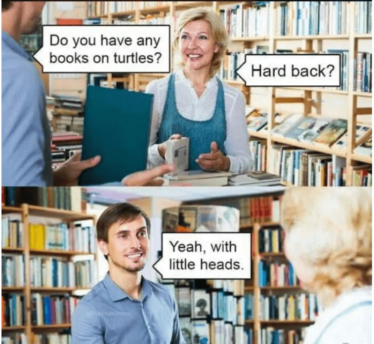turtle.PNG