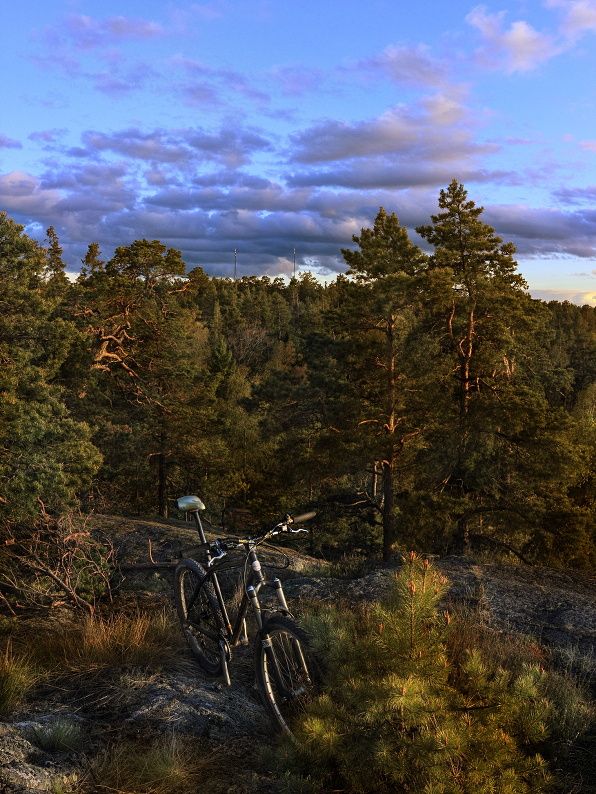 twotowersmtb_b.jpg
