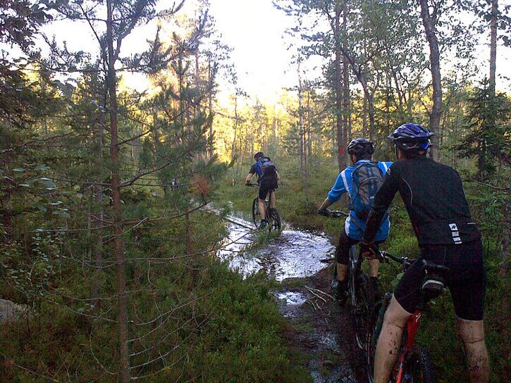 UmeHappyride_48.jpg ht=544