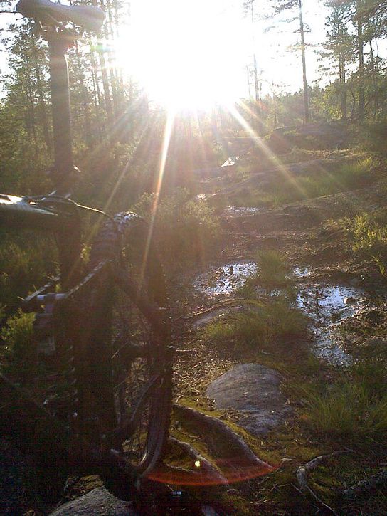 UmeHappyride_50.jpg ht=725