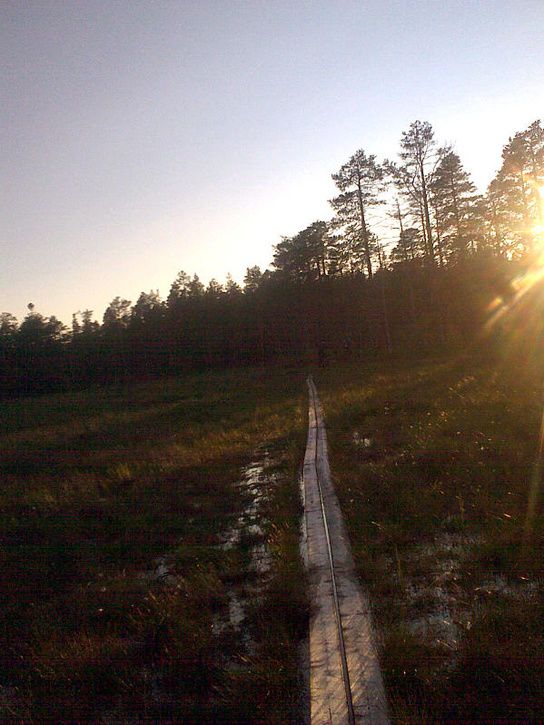 UmeHappyride_53.jpg ht=725