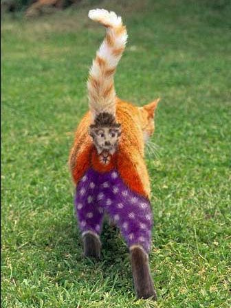 Untitled-1.jpg ht=448