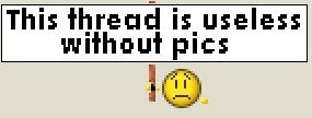 uselesswithoutpics.jpg