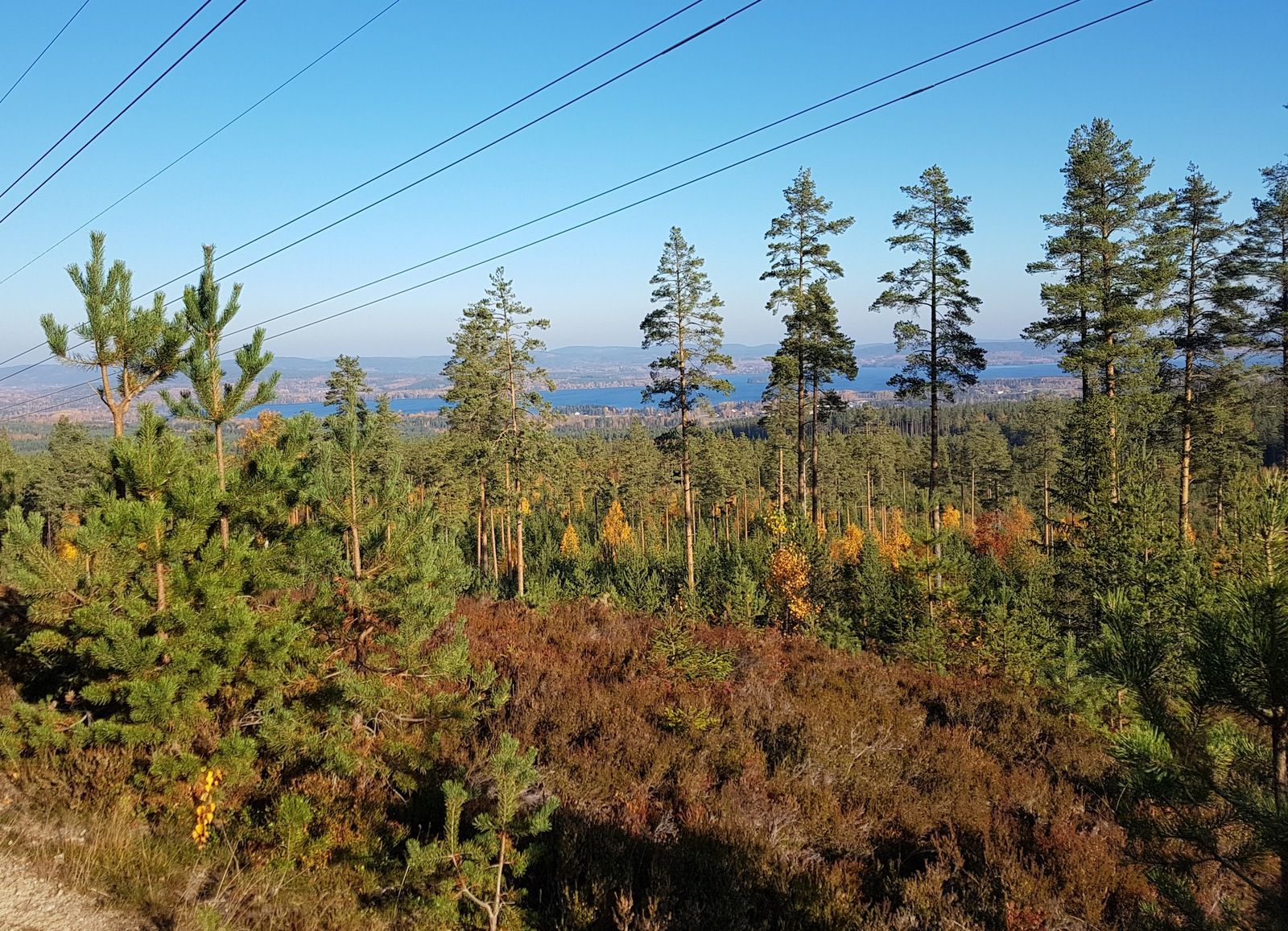 UtsiktBergviken.jpg
