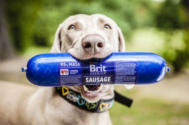 v_2208_2208_brit-premium-sausage.jpg