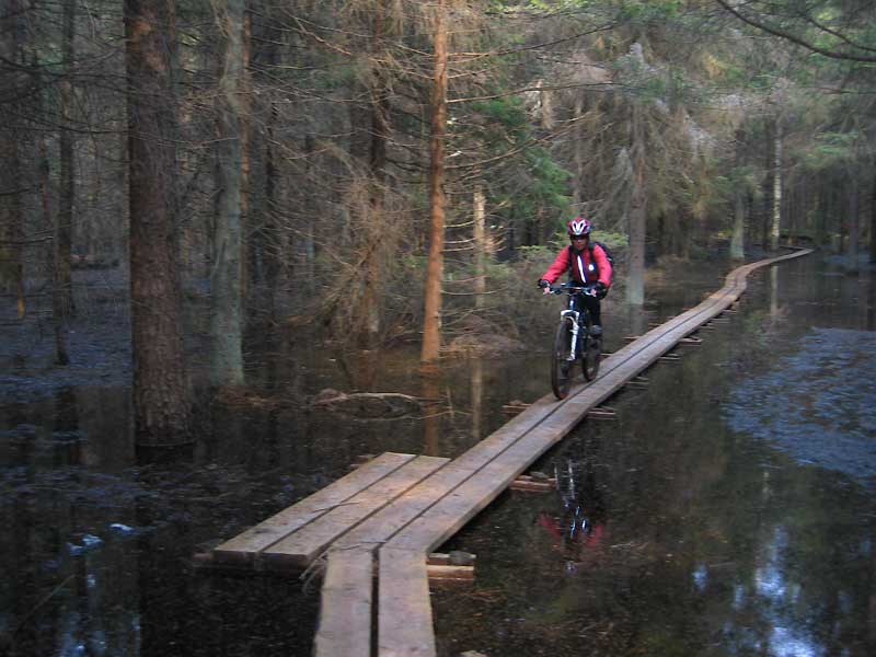 Valborg6.jpg