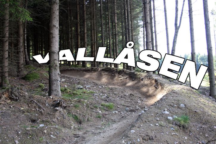vallsen.jpg