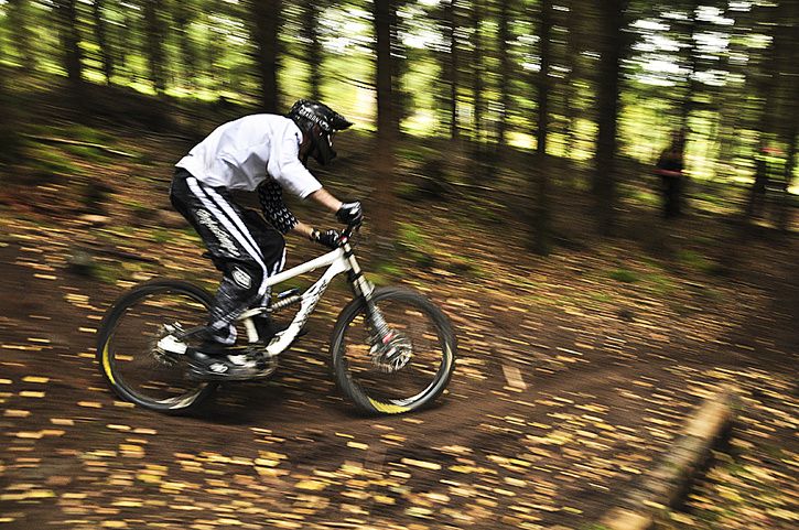 Vallsen3.jpg ht=481