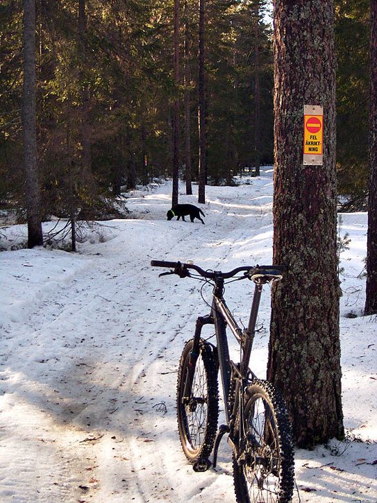 vrvinterlunch_13.jpg ht=725