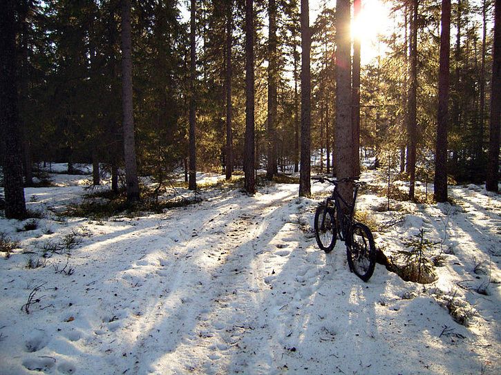 vrvinterlunch_16.jpg ht=543