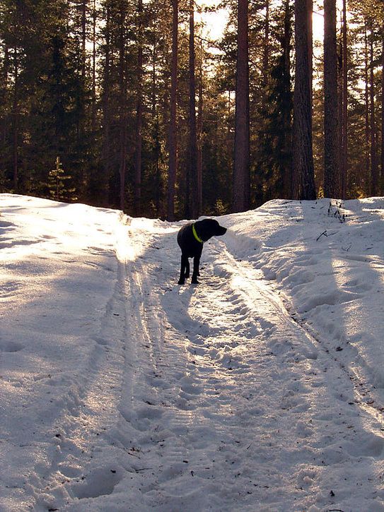 vrvinterlunch_23.jpg ht=725