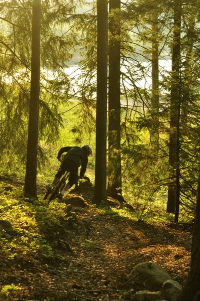 vasjo_spring_05.jpg ht=600