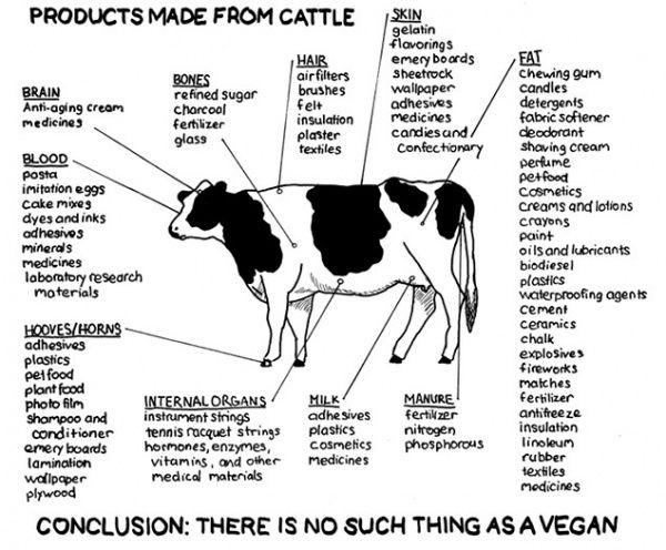 vegan.jpg ht=496