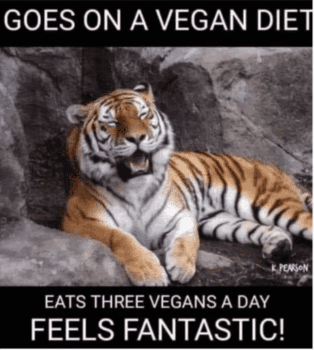 vegan.PNG