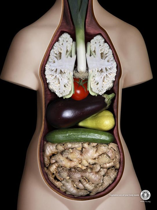 Vegetarian-Union.jpg ht=725