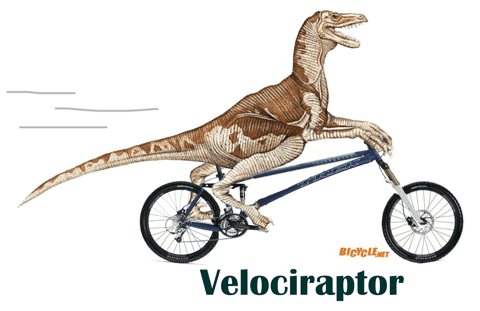 velociraptor-480.png ht=311