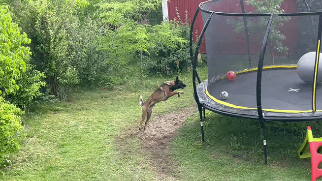 VID-20260804-WA0000(1).gif