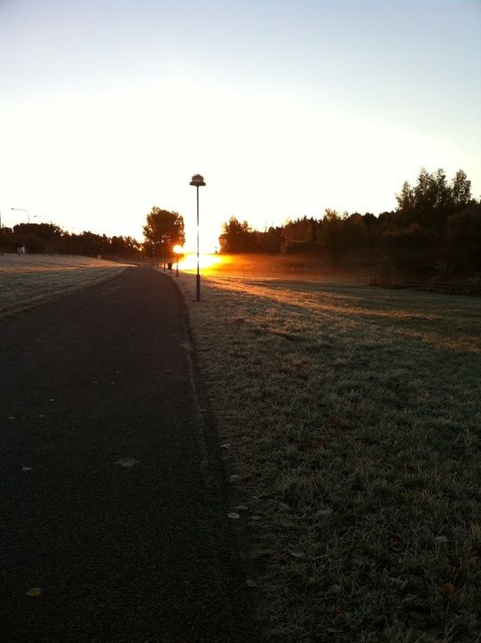 VidRissne20101025.JPG ht=725