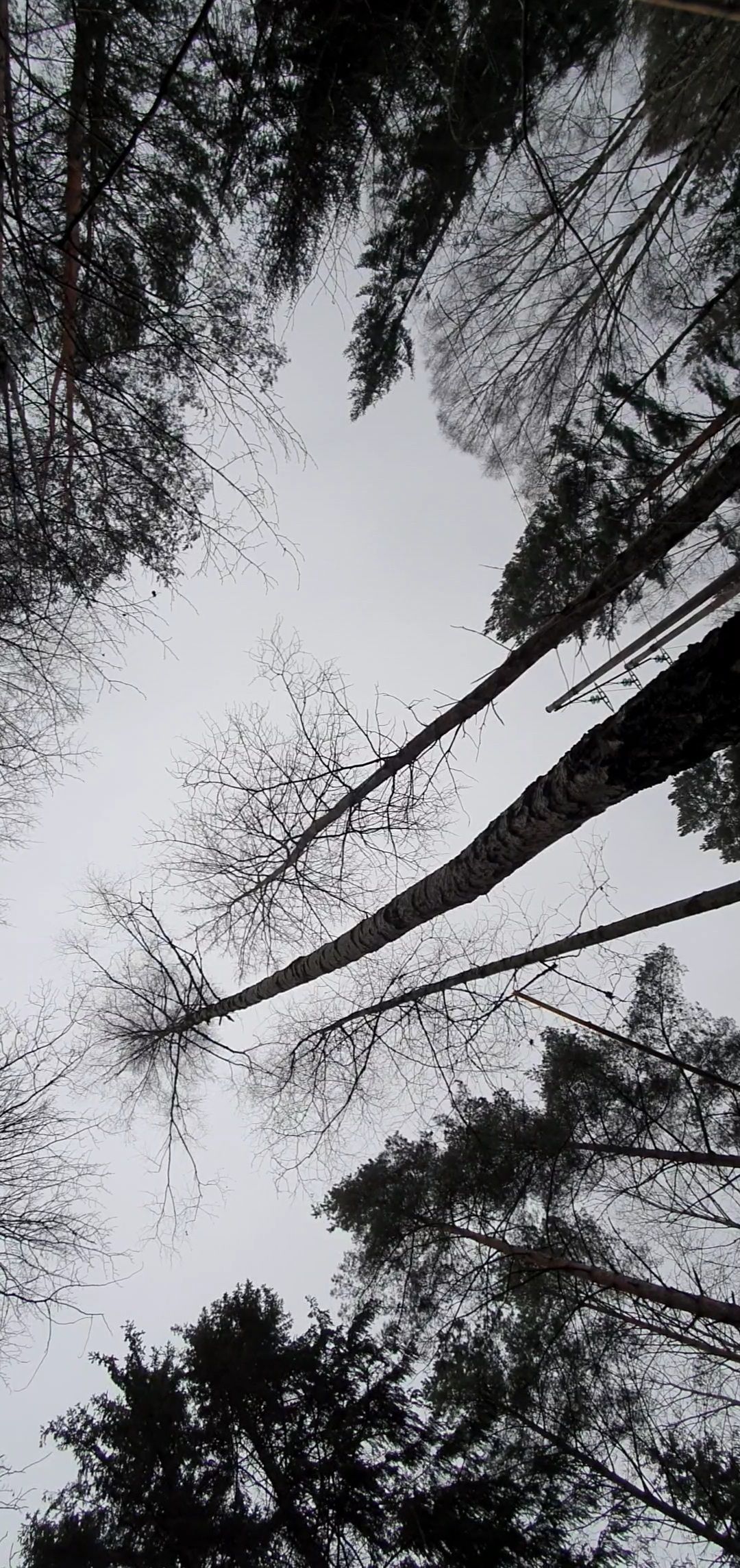 VideoCapture_20201206-145605.jpg