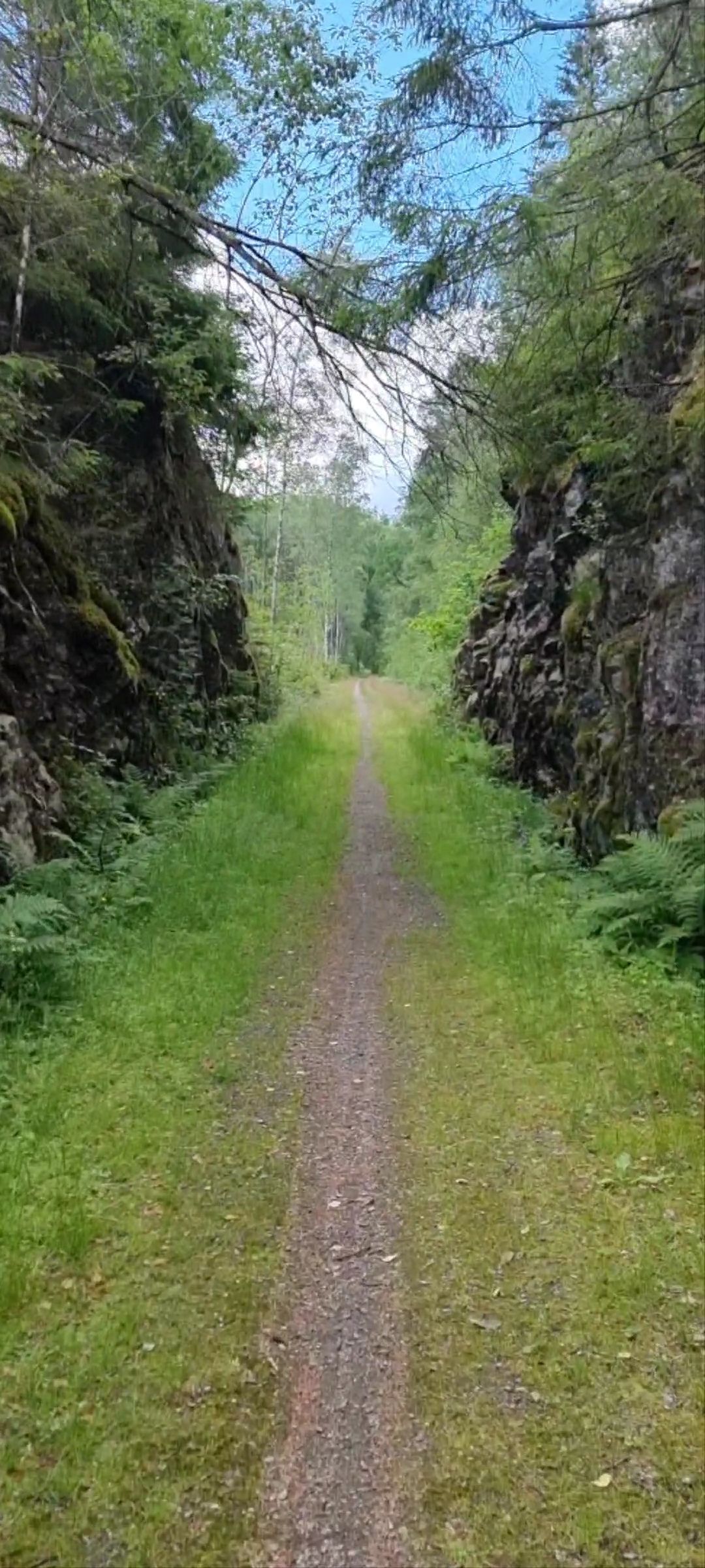 VideoCapture_20220710-064741.jpg