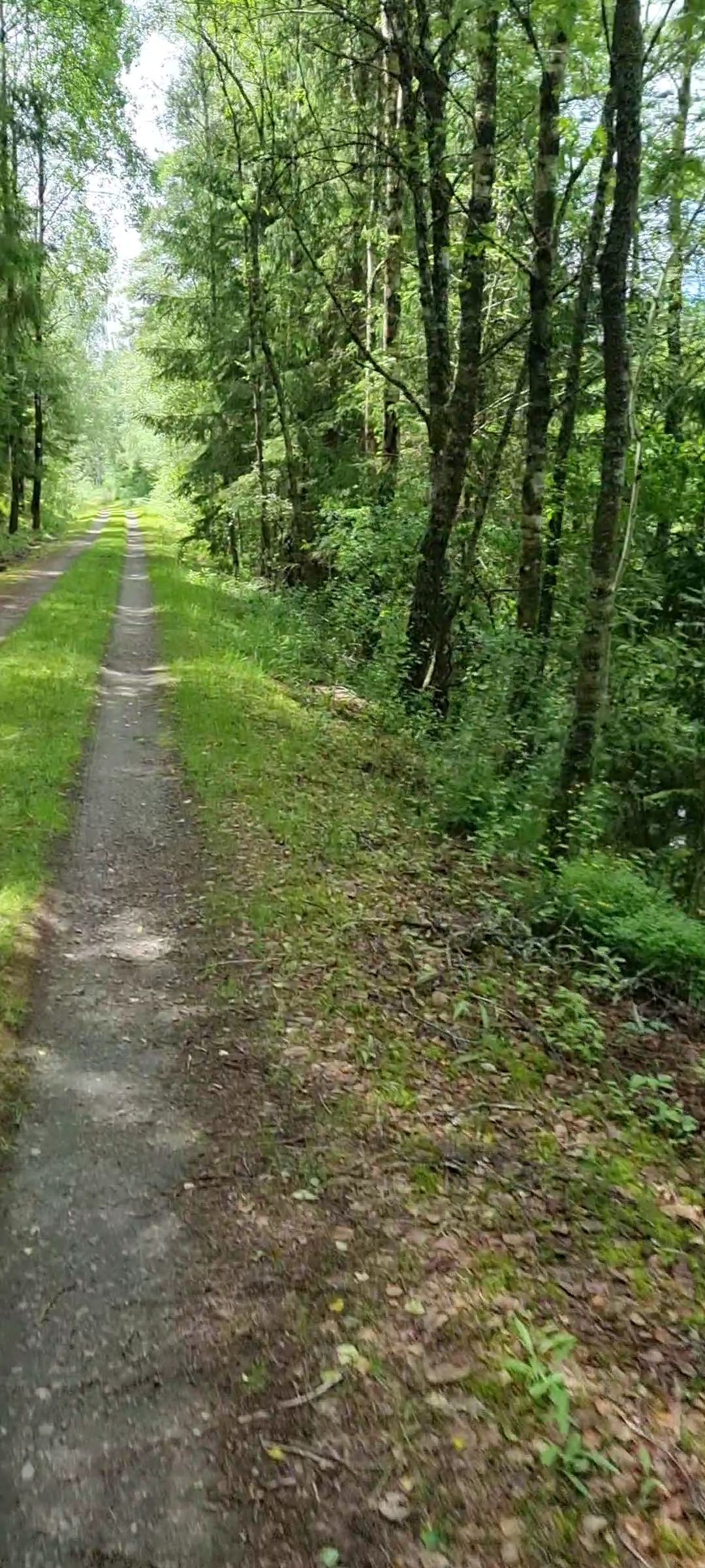 VideoCapture_20220710-064754.jpg