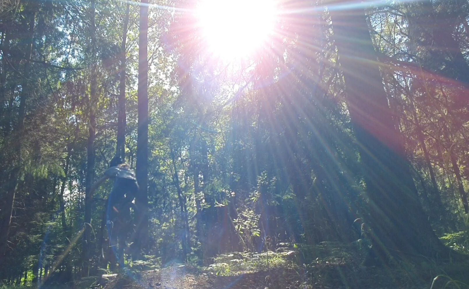 VideoCapture_20220729-183804.jpg