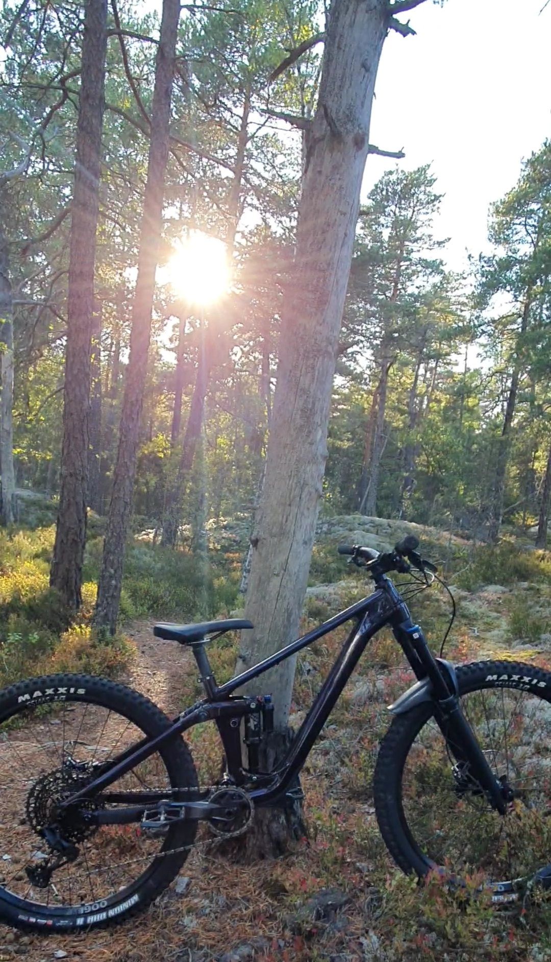 VideoCapture_20220922-180130.jpg