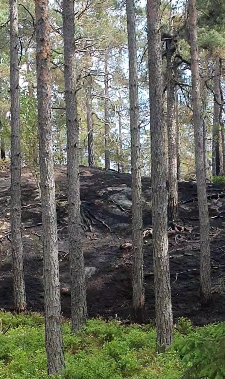 VideoCapture_20230616-185834.jpg