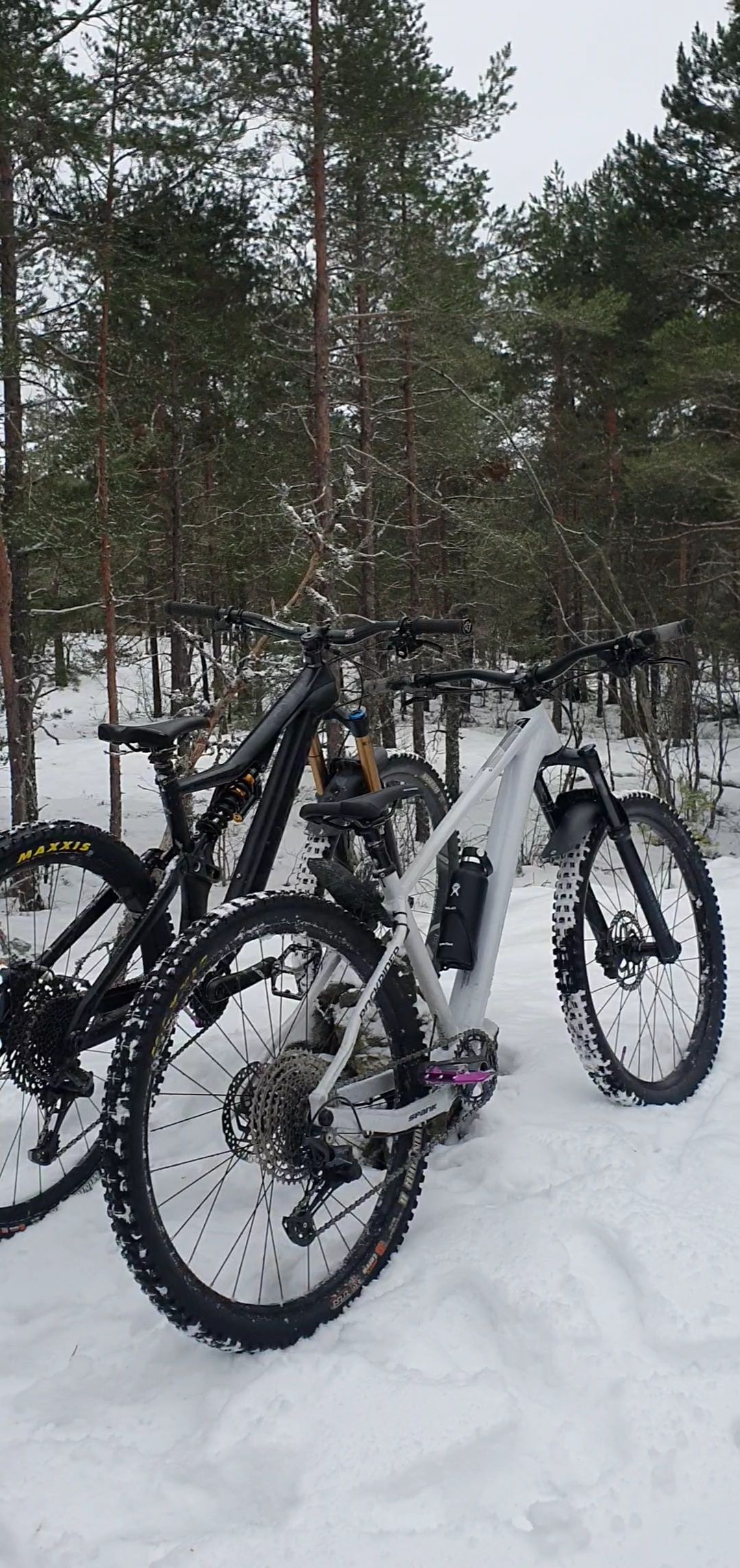 VideoCapture_20240114-144205.jpg