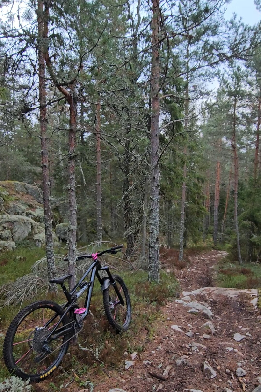 VideoCapture_20241129-102125.jpg