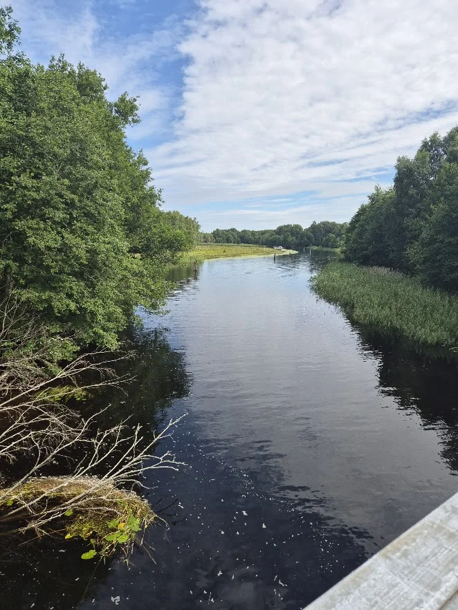 Vidön_20260710.webp