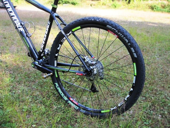 Vincent+flash067.JPG ht=544