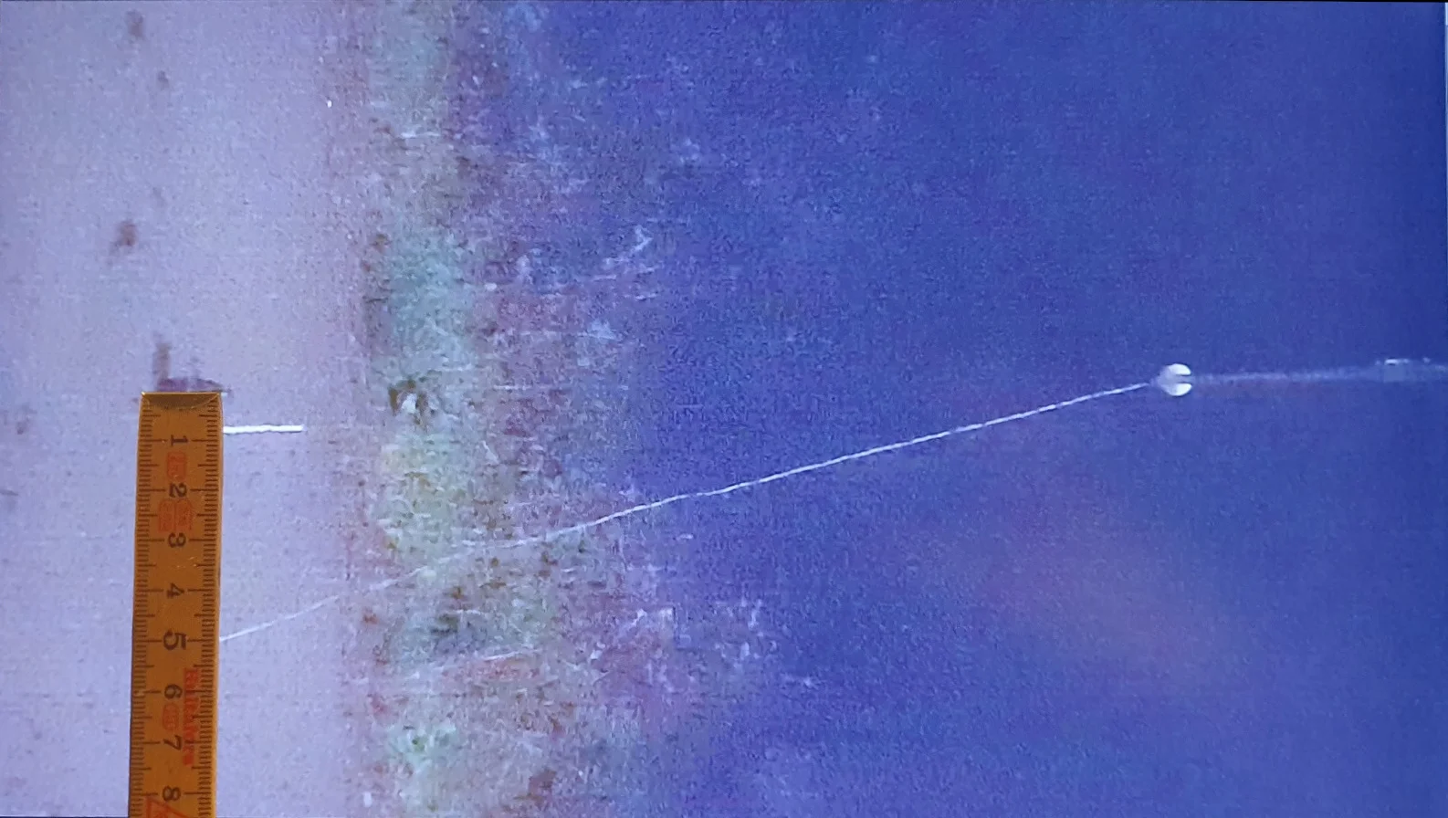 vind camera display ruler.webp