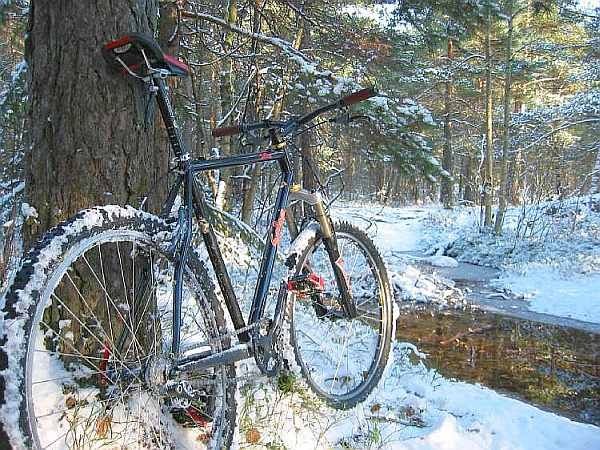 Vinter-04.jpg ht=450