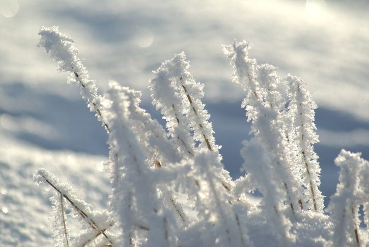 vinter.jpg ht=485