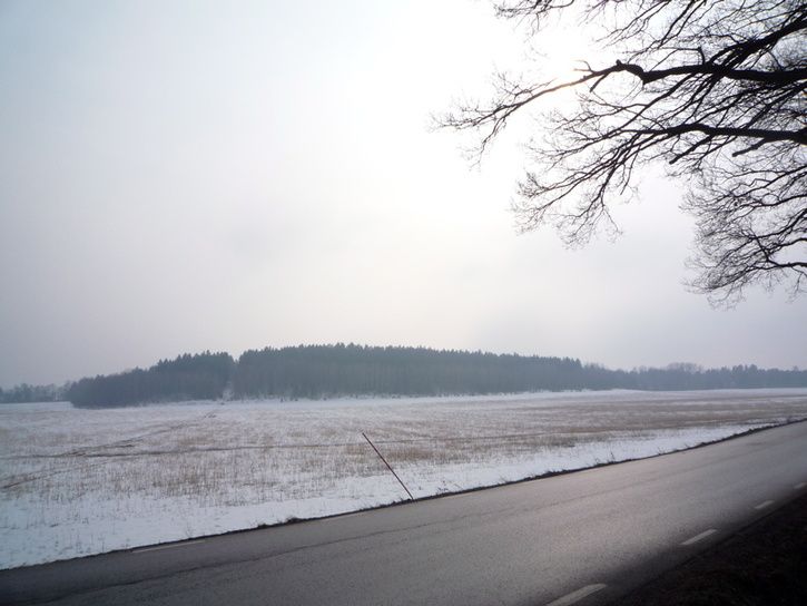 vinter.jpg ht=544
